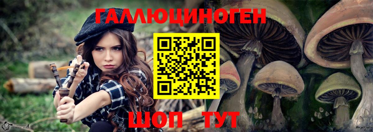 Ижевск  Галлюциногенные грибы Psilocybine cubensis  Вход с VPN  Галлюциногенные грибы MAGIC MUSHROOMS 